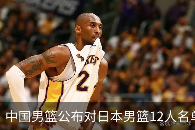 中国男篮公布对日本男篮12人名单，杨瀚森、徐昕等在列