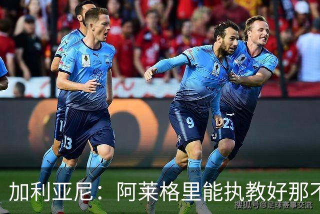 加利亚尼：阿莱格里能执教好那不勒斯，他会根据队内球员制定战术